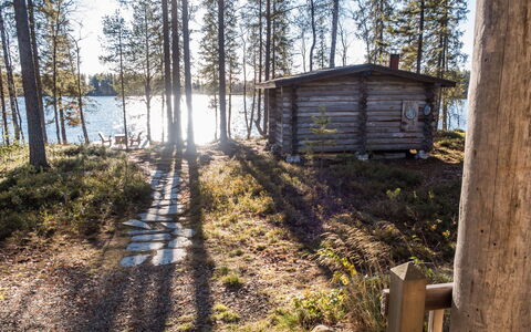 Putilanranta: Boom, Hout, Woud, Bos, Trunk, Blokhut, Lariks, Verblijf