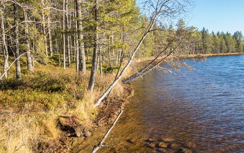 Putilanranta: Water, Watervoorraden, Zwemwater, Natuur, Natuurlijke Omgeving, Blad, Natuurlijk Landschap, Waterweg, Bank, Waterloop