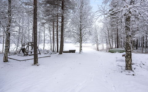 Keloranta: Sneeuw, Afdeling, Winter, Boom, Natuurlijke Omgeving, Hout, Wit, Takje, Woud, Freezing