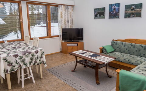 Karhunvartijan Linna B14: Meubilair, Interieur Ontwerp, Hout, Flooring, Verdieping, Plafond, Kamer, Bankstel, Woonkamer, Appartement