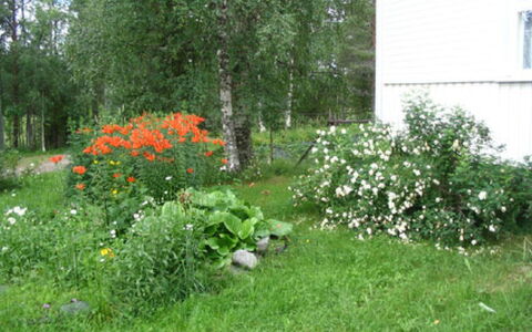 Rantala: Hout, Siding, Verblijf, Huis, Huis, Plank, Garden Gebouwen, Blokhut, Hardwood, Veranda