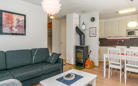 Karhunvartijan Kota B1: Meubilair, Interieur Ontwerp, Flooring, Hout, Verdieping, Plafond, Bankstel, Kamer, Woonkamer, Lichte Inrichting