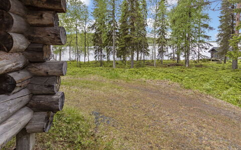 Kuontijärvi B: Natuurlijk Landschap, Landschap, Plantengemeenschap, Land Lot, Wildernis, Woud, Natuurgebied, Weide