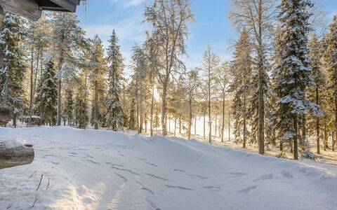 Kuontijärvi a: Afdeling, Winter, Sneeuw, Boom, Natuurlijke Omgeving, Hout, Woud, Freezing, Wildernis