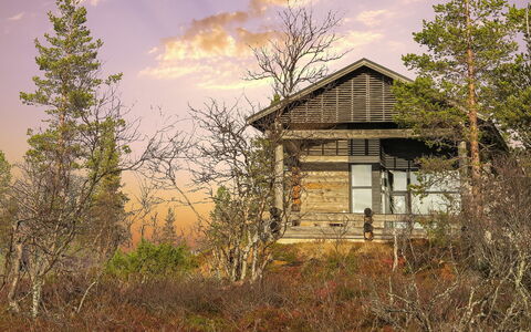 Kiehinen 2: Natuur, Afdeling, Hout, Huis, Architectuur, Verblijf, Huis, Landschap, Landelijk Gebied, Takje
