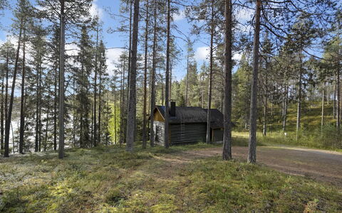Metsämaja: Boom, Hout, Woud, Bos, Schuur, Land Lot, Trunk, Plantengemeenschap, Verblijf