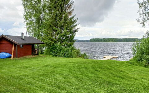 Ranta-Koivu: Gras, Groen, Grasland, Landschap, Land Lot, Struik, Gazon, Tuin, Verblijf