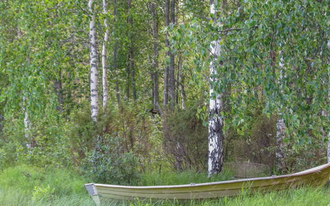 Pilkkaniemi: Verblijf, Huis, Huis, Garden Gebouwen, Siding, Blokhut, Boerderij, Landgoed, Schuur, Werf