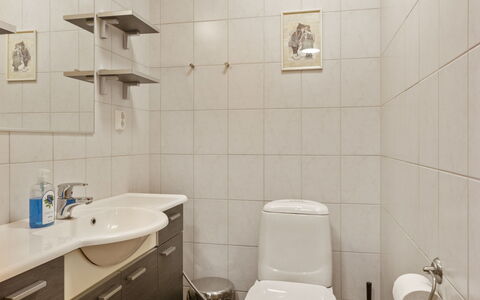 Jutapirtti: Hout, Verblijf, Blokhut, Woud, Schuur, Garden Gebouwen, Lariks, Bos, Beits