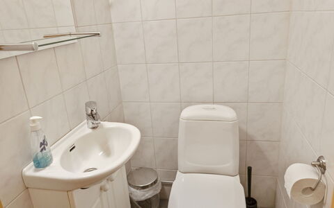 Jutapirtti: Hout, Verblijf, Blokhut, Woud, Schuur, Garden Gebouwen, Lariks, Bos, Beits
