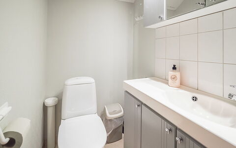 Kiela 1: Hout, Verblijf, Blokhut, Woud, Schuur, Garden Gebouwen, Lariks, Bos, Beits