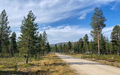 Kuukkeli