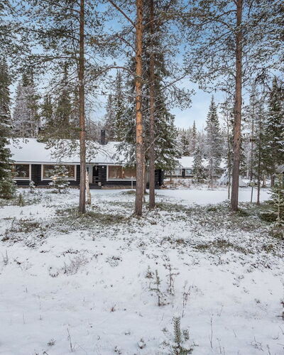 Harpan Maja Mesimarja