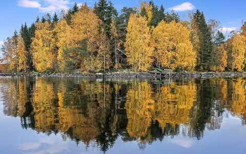Kärkimökki: Boom, Bank, Huis, Verblijf, Meer, Vijver, Woud, Blokhut