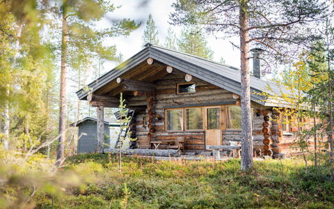 Kelosaajo: Verblijf, Huis, Huis, Garden Gebouwen, Siding, Blokhut, Boerderij, Landgoed, Schuur, Werf
