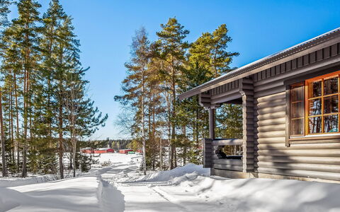 Marttalanmäki: Boom, Sneeuw, Winter, Hout, Verblijf, Freezing, Huis, Blokhut, Lariks