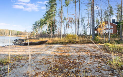 Telkkä: Hout, Verblijf, Blokhut, Woud, Schuur, Garden Gebouwen, Lariks, Bos, Beits