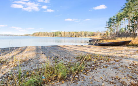 Telkkä: Hout, Verblijf, Blokhut, Woud, Schuur, Garden Gebouwen, Lariks, Bos, Beits