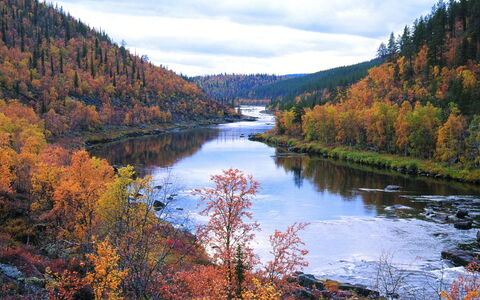 Keskiniemi: Water, Fabriek, Wolk, Ecoregio, Lucht, Blad, Natuurlijk Landschap, Berg, Lariks, Hoogland