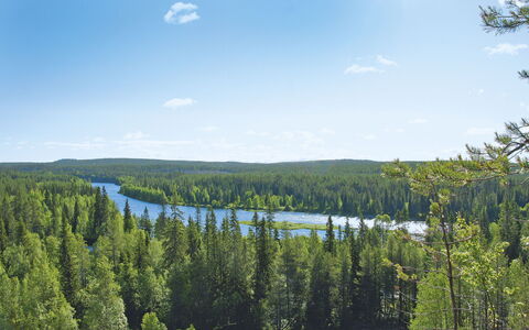 Keskiniemi: Wolk, Lucht, Water, Fabriek, Natuurlijk Landschap, Meer, Lariks, Evergreen, Waterloop, Bank