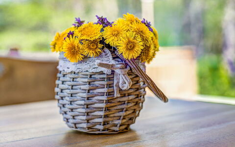 Plitvice Ii: Geel, Bloem, Snijbloemen, Vaas, Bloempot, Fabriek, Wildflower, Bloemdessin, Boeket