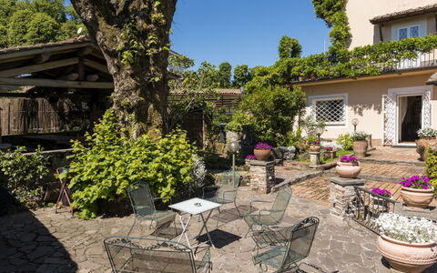 Rocca di Papa 102: Struik, Meubilair, Bloempot, Tuin, Buitenmeubels, De Lente, Stoel, Buitentafel, Schaduw