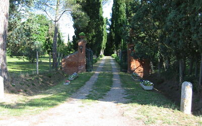 Zurli