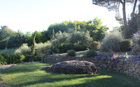 Gli Appartamenti Di Manuela: Gras, Blad, Vegetation, Struik, Tuin,  Felsen\, Plantengemeenschap, Landschap, Groundcover