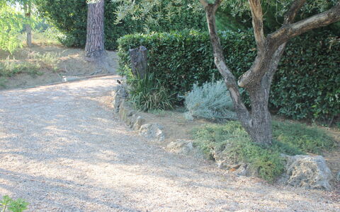 Gli Appartamenti Di Manuela: Fabriek, Weg Oppervlak, Boom, Trunk, Land Lot, Natuurlijk Landschap, Asfalt, Groundcover, Struik, Gras