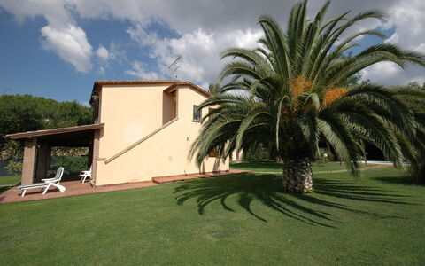 Poderino: Eigendom, Palmboom, Huis, Gras, Arecales, Boom, Huis, Onroerend Goed, Attalea Speciosa, Gebouw