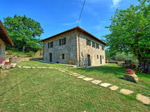 Querciolaia