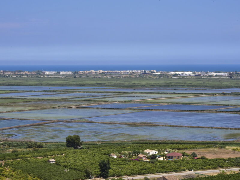 Dos Palos