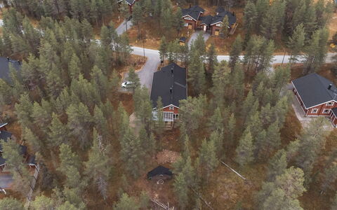 Kevätruska B: Hout, Verblijf, Blokhut, Woud, Schuur, Garden Gebouwen, Lariks, Bos, Beits