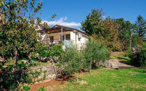 Silvana: Struik, Landelijk Gebied, Huis, Verblijf, Tuin, De Lente, Backyard, Schaduw, Werf, Landgoed