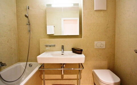 Alpsrelax.ch Gmbh: Bruin, Eigendom, Loodgieterswerkinrichting, Kraan, Wastafel In De Badkamer, Wastafel, Spiegel, Badkamer, Purper