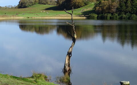 Lake District Coastal Cottage: Zwemwater, Watervoorraden, Natuurlijk Landschap, Water, Meer, Vijver, Reservoir, Reflectie, Bank, Loch