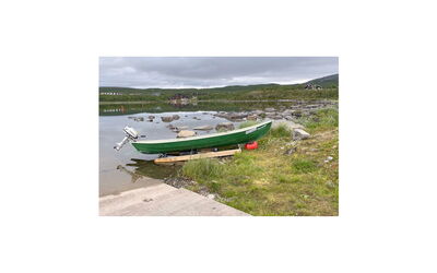 Haltinsaana