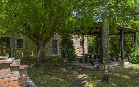 Casa dei Ciliegi: Fabriek, Venster, Blad, Boom, Land Lot, Schaduw, Gras, Woody Plant, Deur, Natuurlijk Landschap