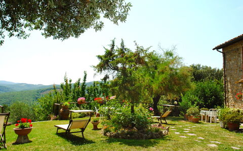 Gambassi Terme 840: Tuin, Vegetation, Natuurlijk Landschap, Gras, Werf, Eigendom, Boom, Land Lot, Plantkunde, Backyard