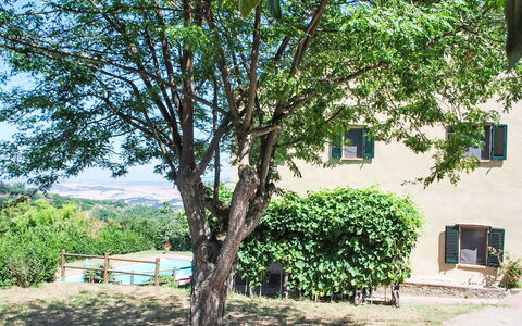 Podere Valle di Sotto: Boom, Blad, Afdeling, De Lente, Schaduw