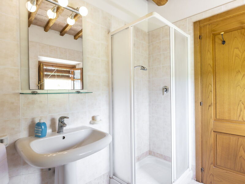Accommodatie:&nbsp;Ciliegio 890.3