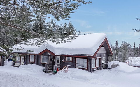 Kerkkälä: Hout, Verblijf, Blokhut, Woud, Schuur, Garden Gebouwen, Lariks, Bos, Beits