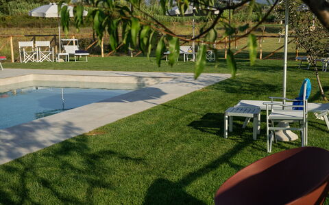 Incanto Toscano: Fabriek, Water, Meubilair, Stoel, Schaduw, Buitenmeubels, Plantkunde, Boom, Land Lot, Gras