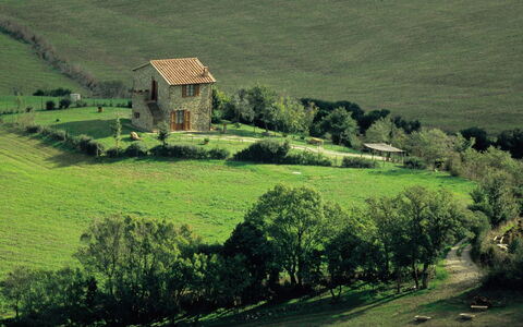 Agriturismo le Calle: Fabriek, Groen, Venster, Natuur, Natuurlijk Landschap, Gebouw, Boom, Vegetation, Huis, Land Lot