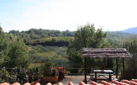 Gaiole in Chianti 880: Dak, Eigendom, Plantkunde, Boom, Onroerend Goed, Landelijk Gebied, Lucht, Heuvel Station, Huis, Tuin
