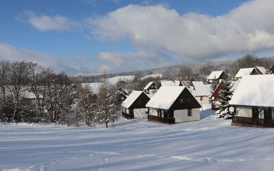 Holiday Hill