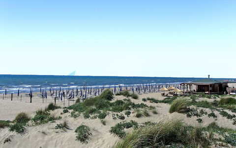 Suite 48: Strand, Lucht, Zee, Zand, Kust, Natuurlijke Omgeving, Kust, Oceaan, Vakantie, Zomer