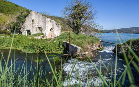 Klen 2: Zwemwater, Water, Natuurlijk Landschap, Natuur, Vegetation, Groen, Gras, Kust, Zee, Bank