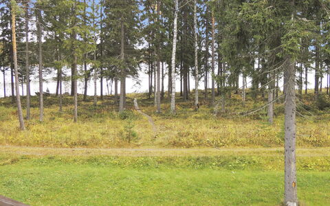 Purnuranta B: Hout, Verblijf, Blokhut, Woud, Schuur, Garden Gebouwen, Lariks, Bos, Beits