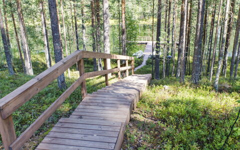 Otsopirtti, Otso: Hout, Verblijf, Blokhut, Woud, Schuur, Garden Gebouwen, Lariks, Bos, Beits